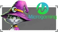 MICROGAMING